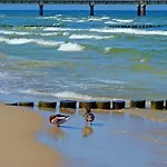 Appartamento 5 Km Zum Strand- Laendlich Und Doch Mittendrin - 