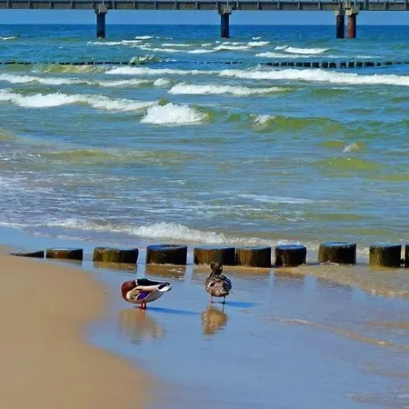 Appartement 5 Km Zum Strand- Laendlich Und Doch Mittendrin - 