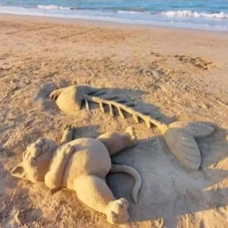 Lejlighed 5 Km Zum Strand- Laendlich Und Doch Mittendrin - 