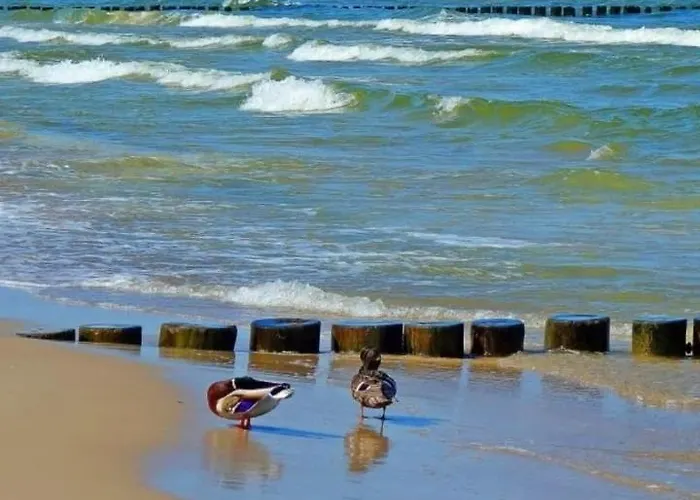 Daire 5 Km Zum Strand- Laendlich Und Doch Mittendrin - 