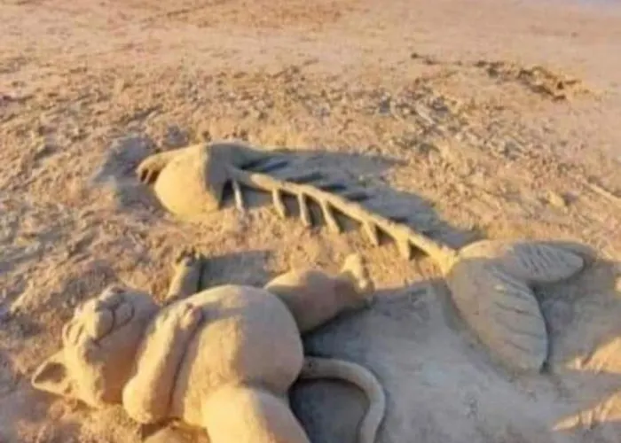 Daire 5 Km Zum Strand- Laendlich Und Doch Mittendrin - 